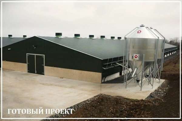 Этапы возведения птицефабрики от завода ВелесТент-нвв